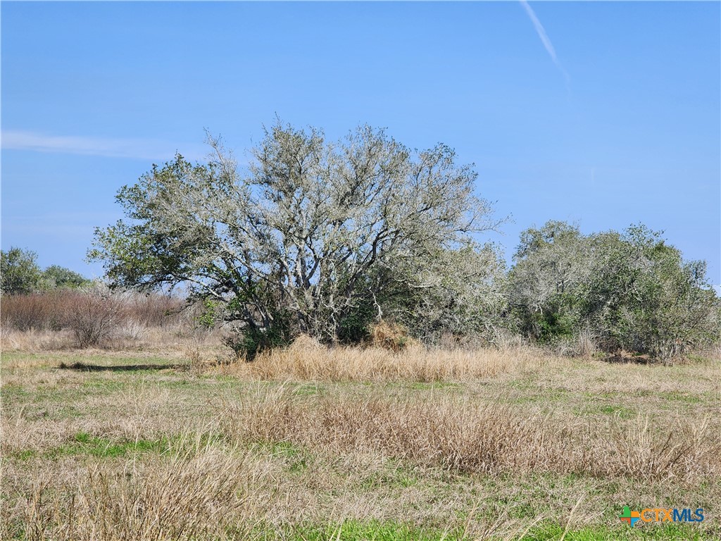 220 Quail Run Trail