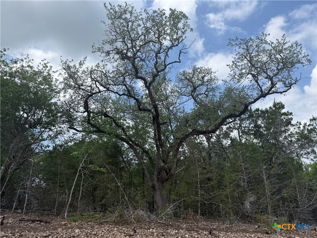 TBD Lot 48 Juniper Ridge