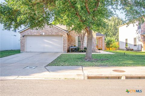 2213 Waizel Way Georgetown TX 78626