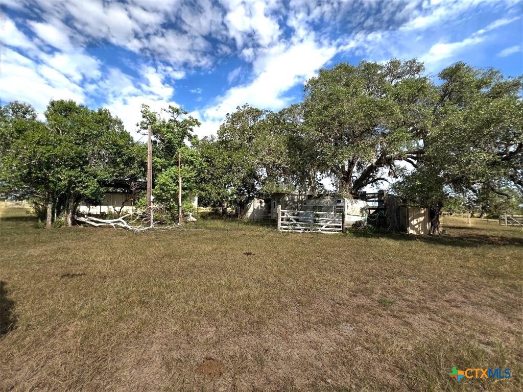 293 County Road 460
