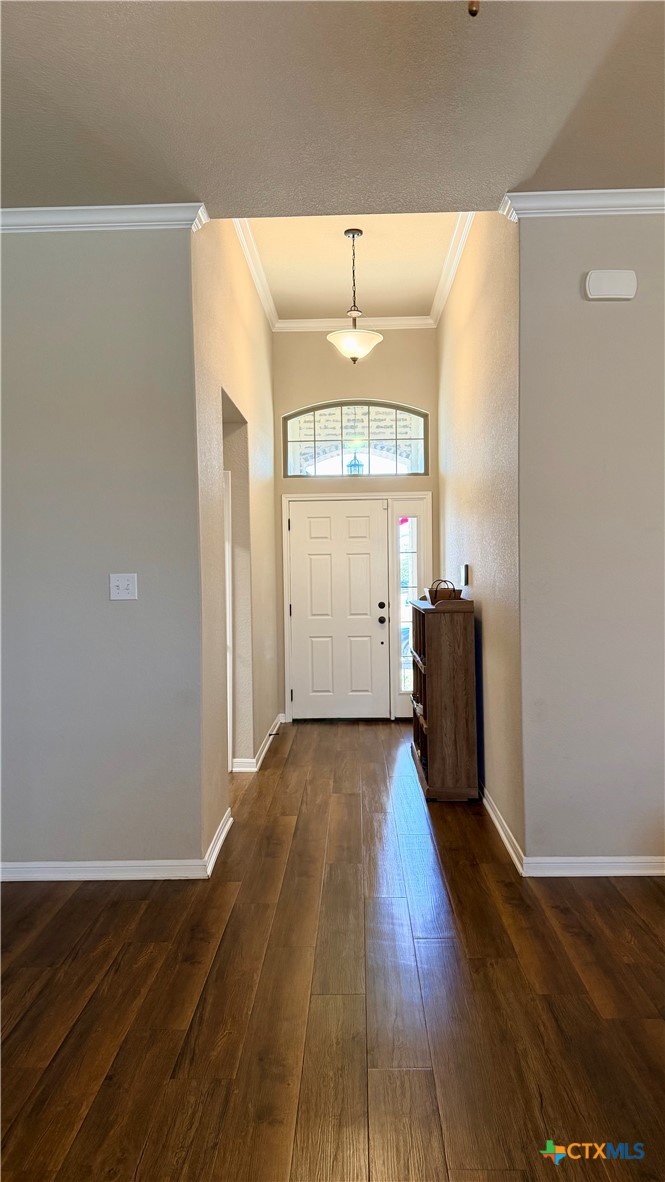 1404 Rolling Brook Drive