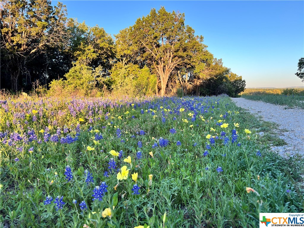 1817 Lutheran Church Road