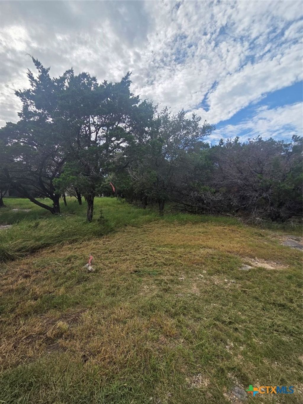 Photo of 5236 Comanche Drive, Temple, TX 76502 (MLS # 611139)