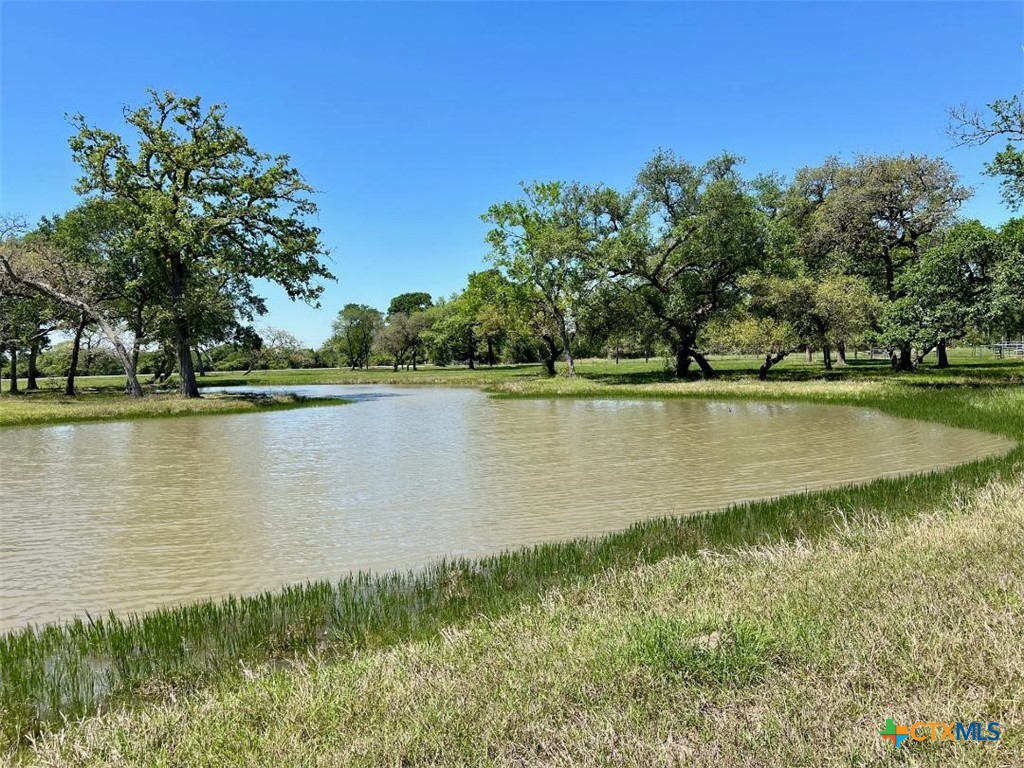 1465 County Road 401