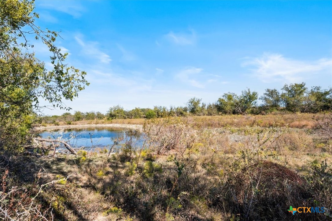 TBD-82.6 Acres Farm Market 221