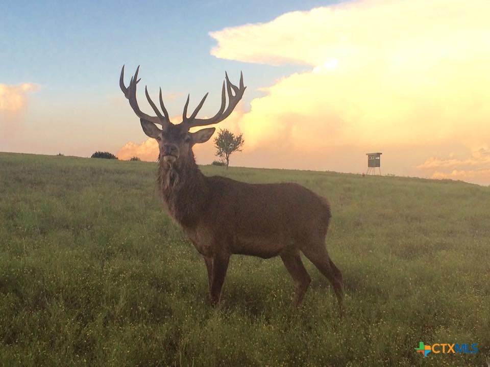 Photo 1 of 22 — Tract 1 County Road 208, Lampasas, TX 76550
