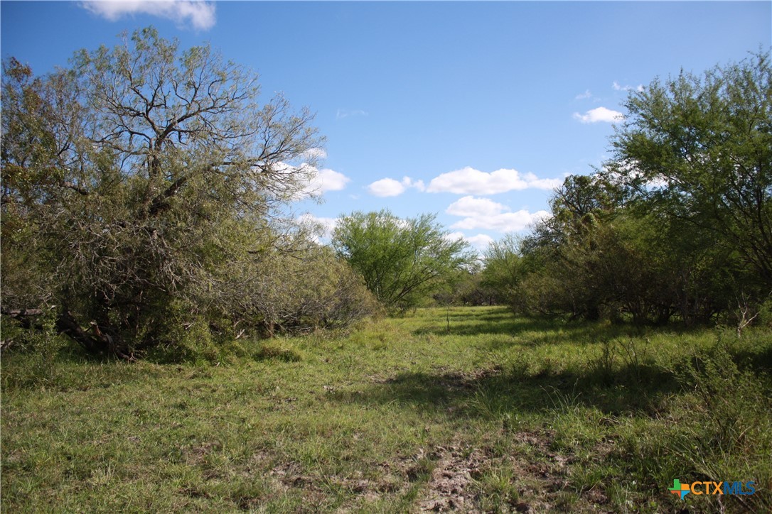 2 County Road 1144 2