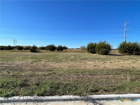 1955 Slade Drive Salado TX 76571