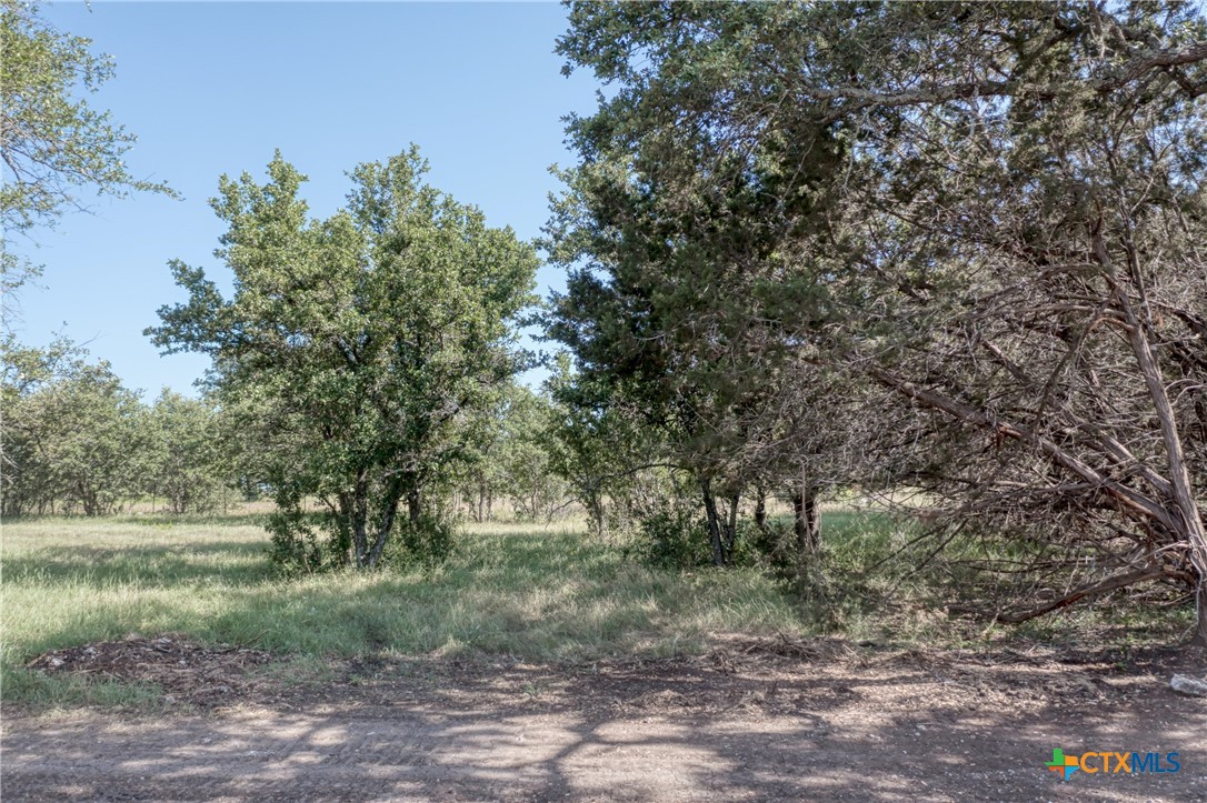 TBD Lot 3 County Road 340
