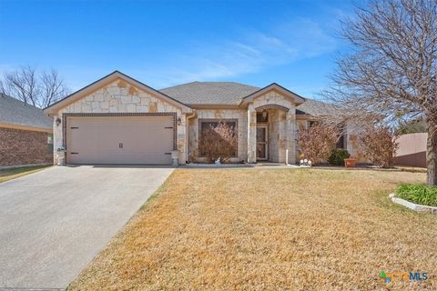 Photo of 2020 Briar Hollow Drive, Temple, TX 76502 (MLS # 604524)