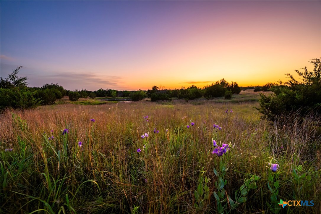 1305 County Road 3800