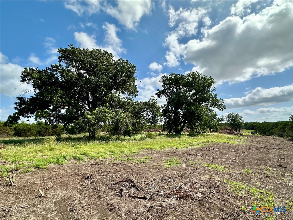 TBD County Road 1255