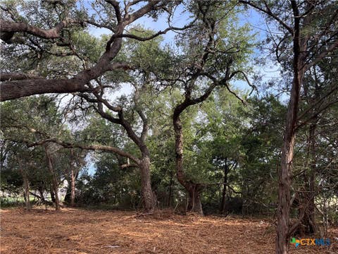 Photo of 1371 Four Winds Drive, Canyon Lake, TX 78133 (MLS # 620227)