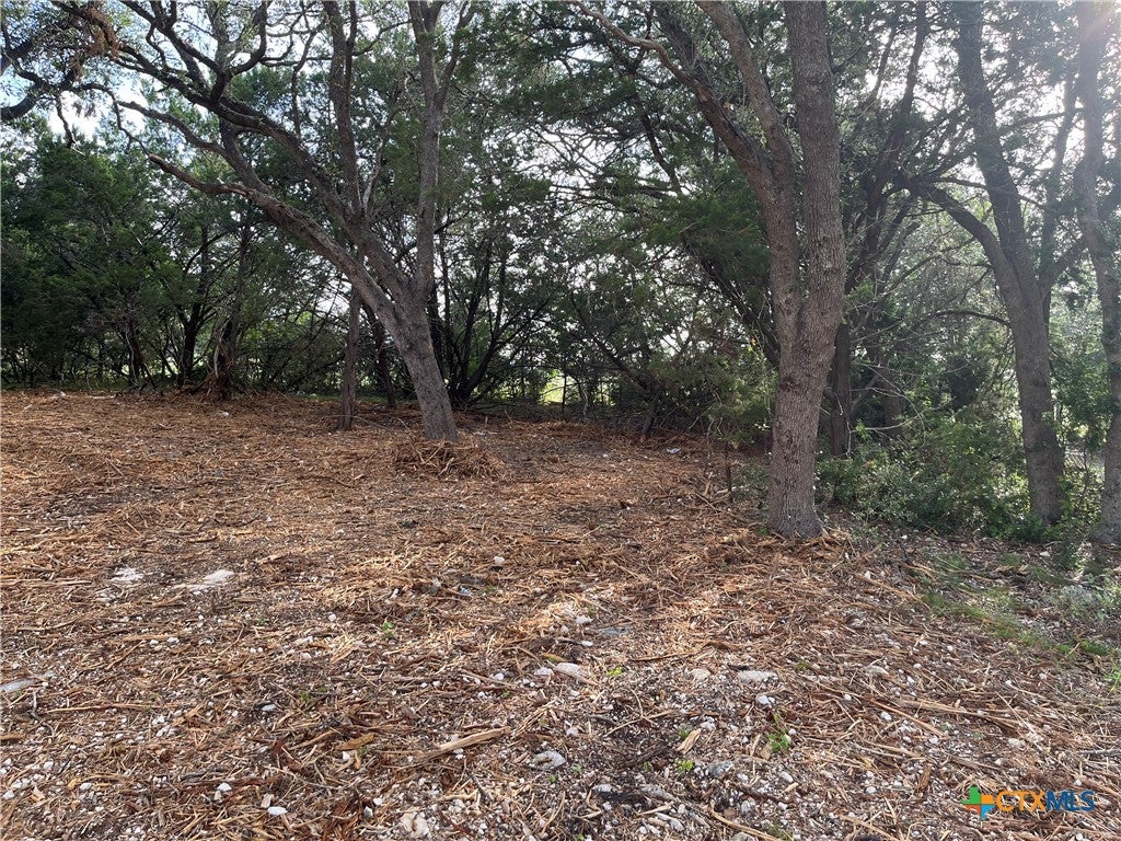 Photo of 1371 Four Winds Drive, Canyon Lake, TX 78133 (MLS # 620227)