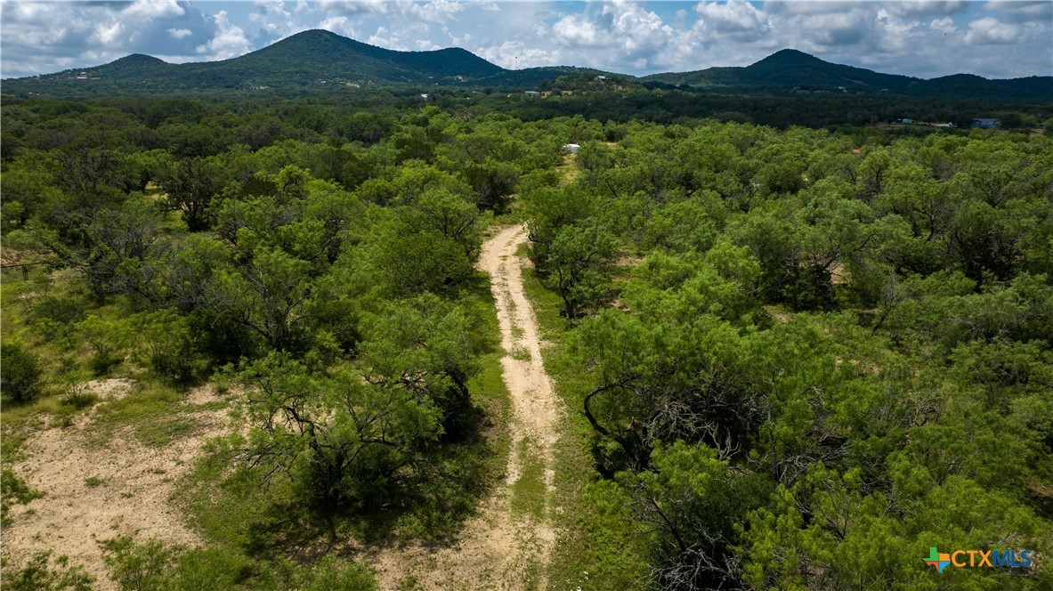 Photo 1 of 38 — 1231 B&R Road, Vanderpool, TX 78885