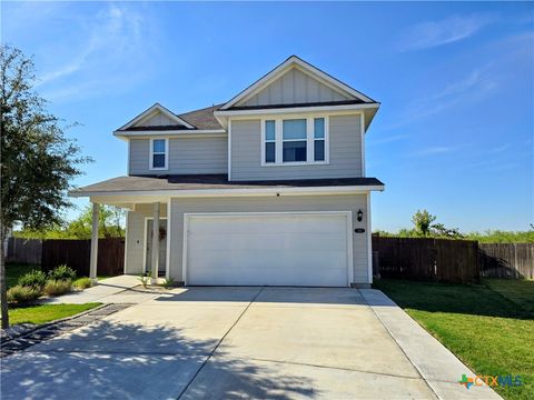 236 Blue Agate Court Jarrell TX 76537