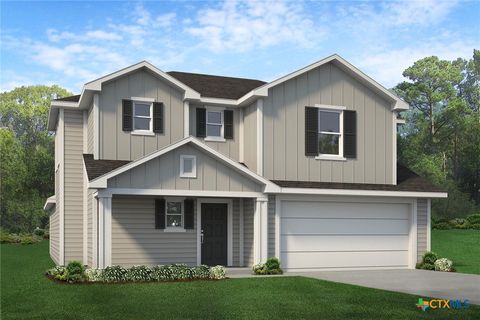 1115 Sky Summit Court Belton TX 76513