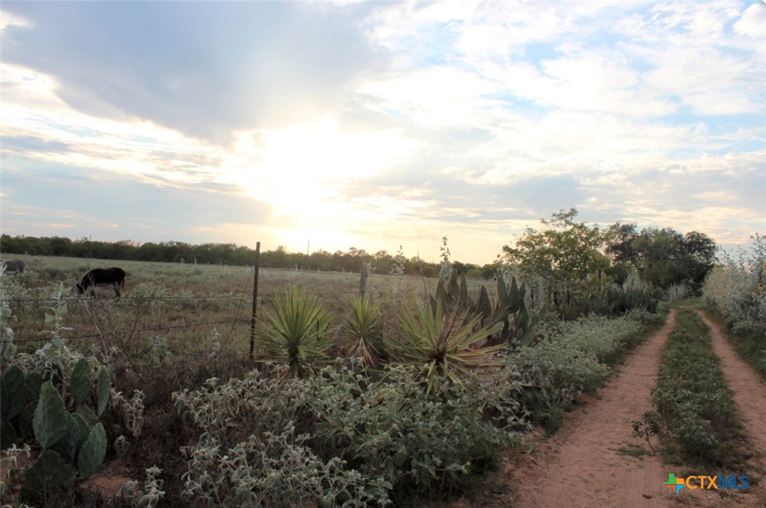 Lot 14 Wisteria Lane