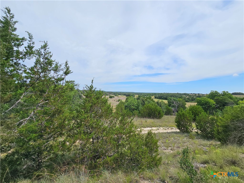 TBD Lot 64 FM 580 E 0123