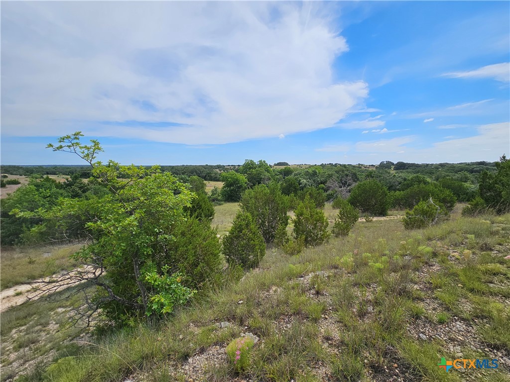 TBD Lot 64 FM 580 E 0123