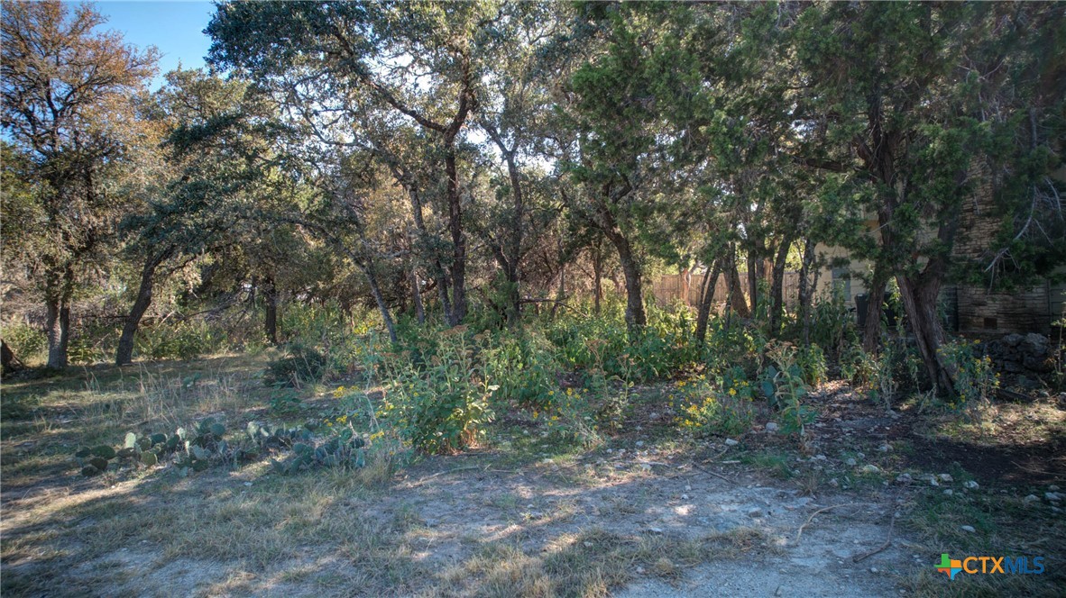 Canyon Lake, Texas 78133, United States, ,Land,Active,245343