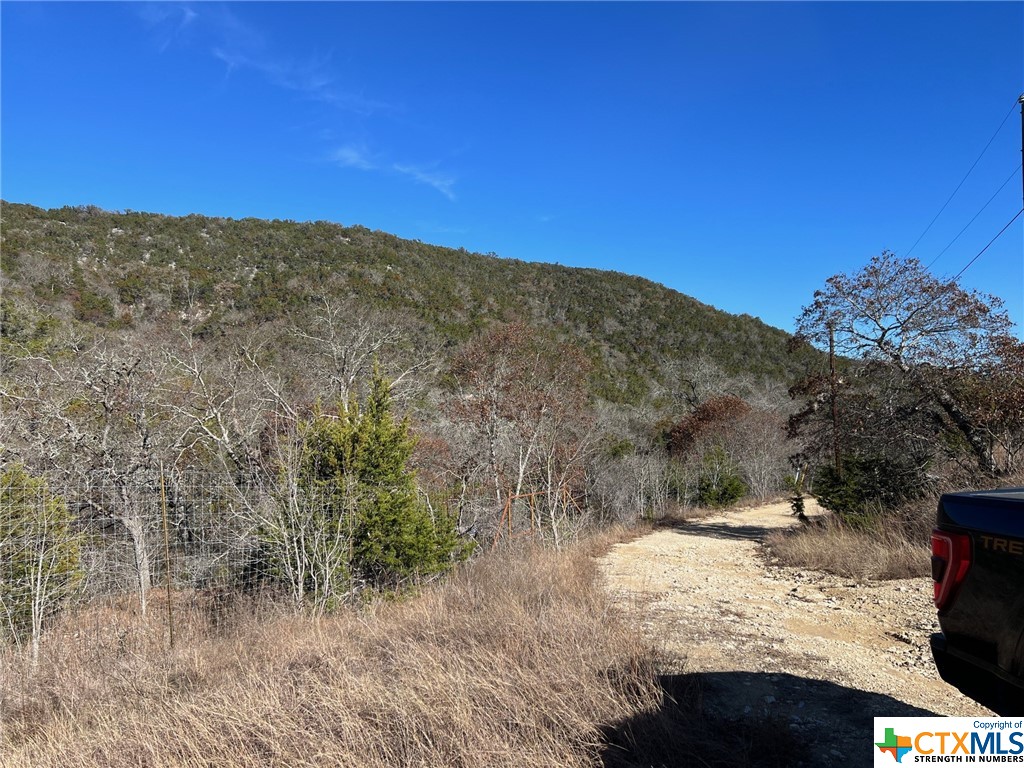 Medina, Texas 78055, United States, ,Residential,Active,66473