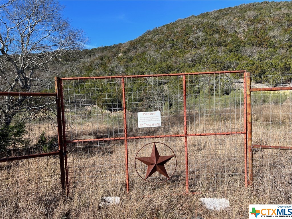 Medina, Texas 78055, United States, ,Residential,Active,66473