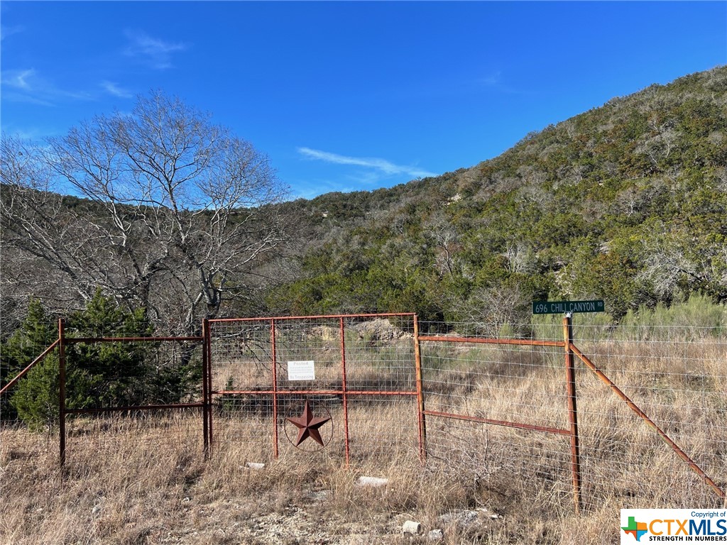 Medina, Texas 78055, United States, ,Residential,Active,66473