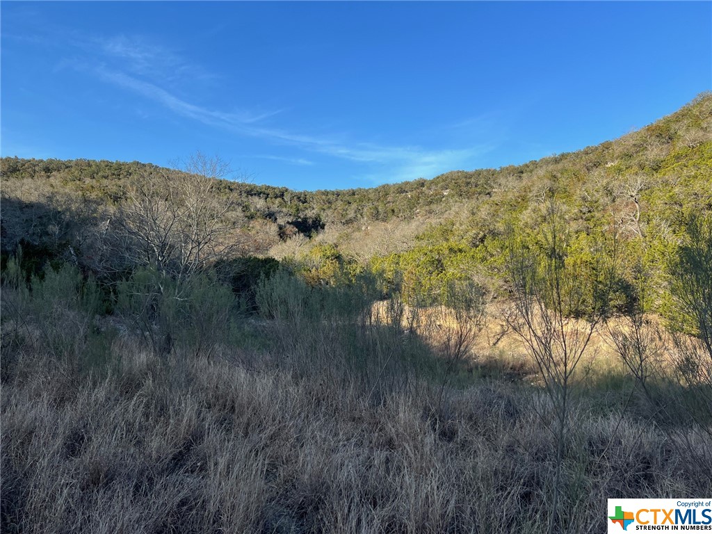 Medina, Texas 78055, United States, ,Residential,Active,66473