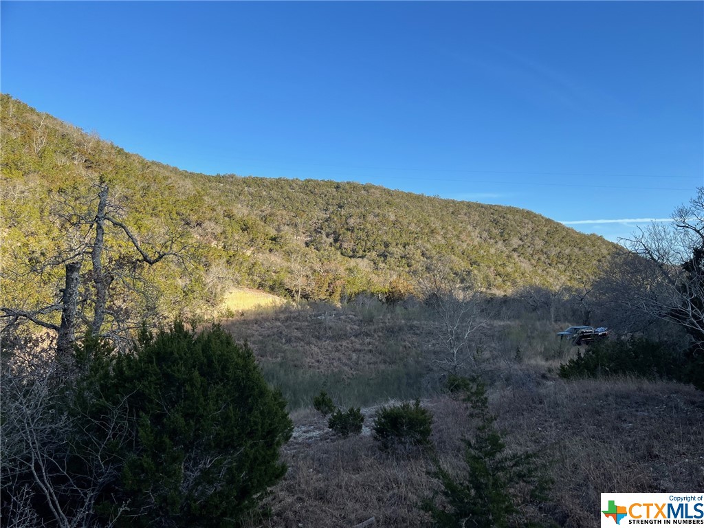 Medina, Texas 78055, United States, ,Residential,Active,66473