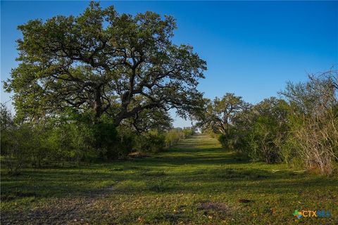 8440 State Highway 239 Goliad TX 77963