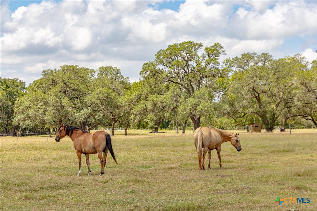 1276 County Road 216