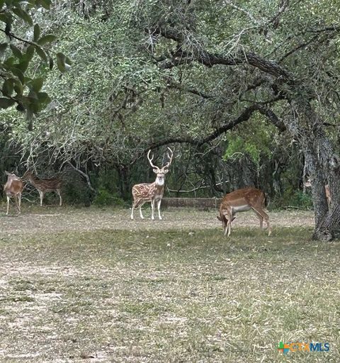 305 CR 305 Beeville TX 78102