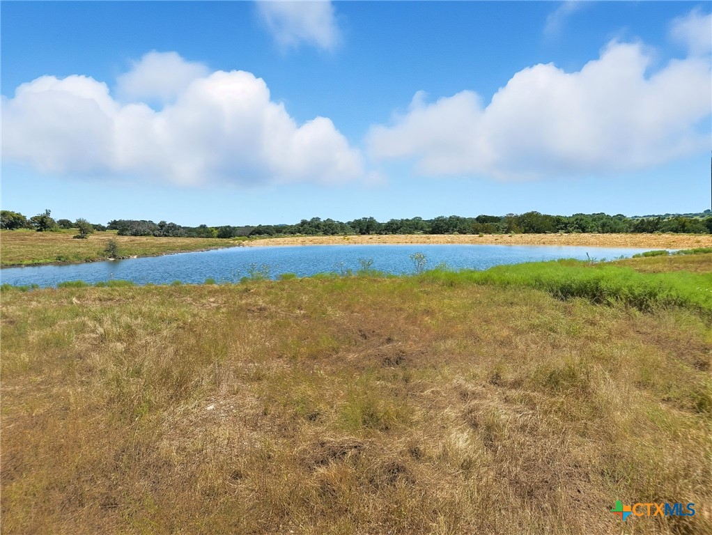 TBD-196.5 Acres FM 116 Road