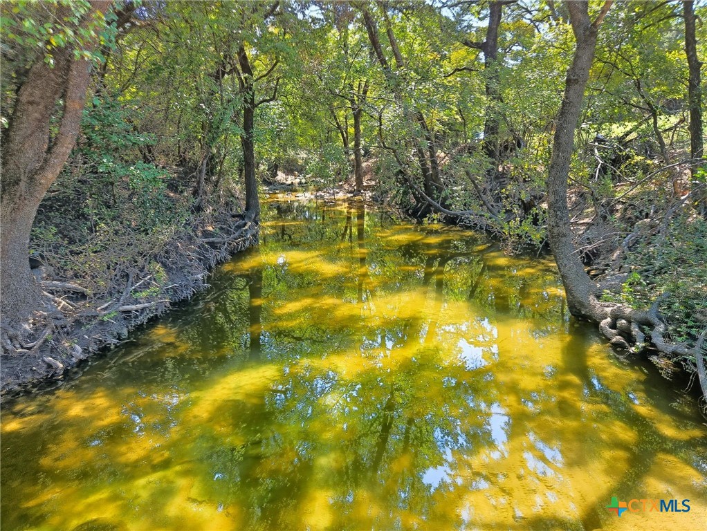 TBD-196.5 Acres FM 116 Road