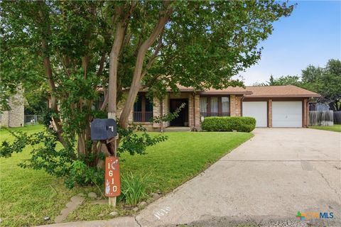 Photo of 1610 Karen Cove, Round Rock, TX 78664 (MLS # 613206)