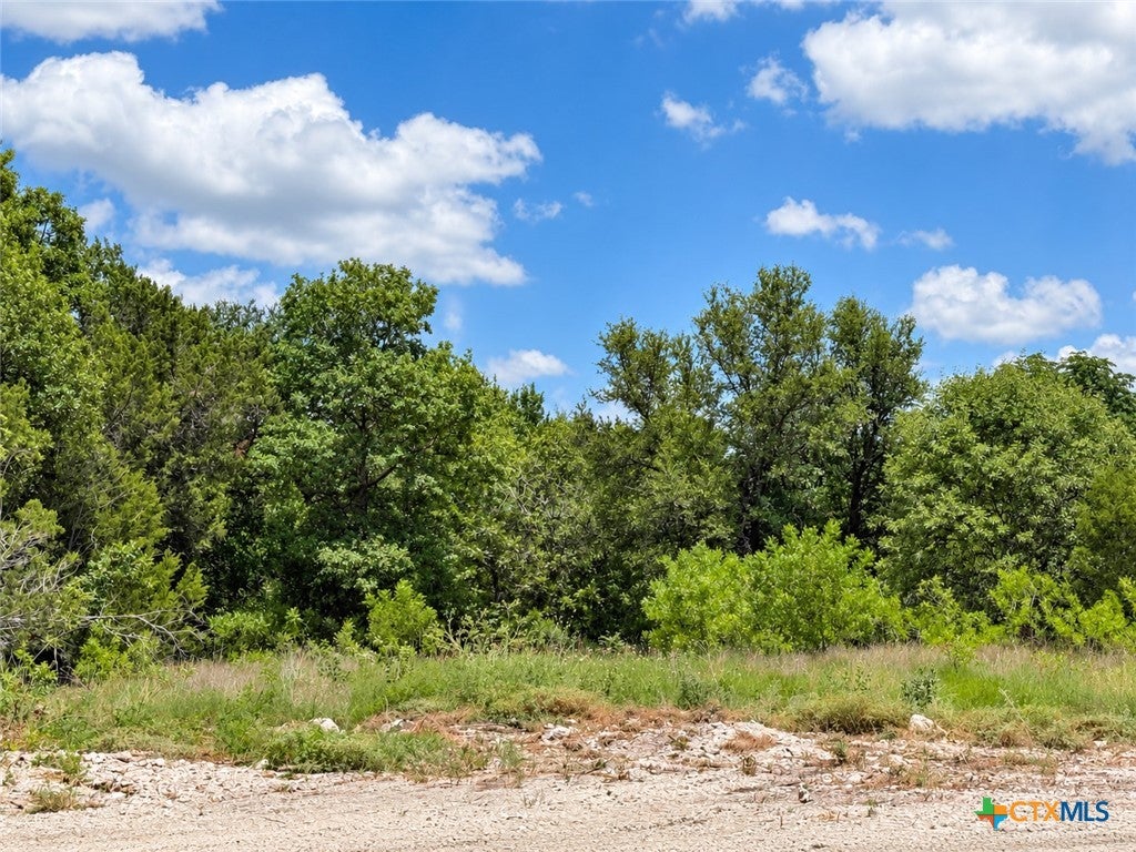 1236 Kenton Parkway