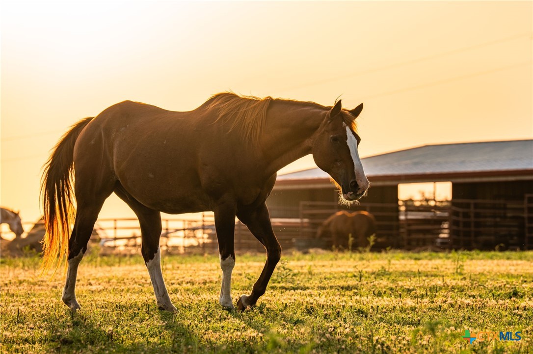 2055 County Road 284