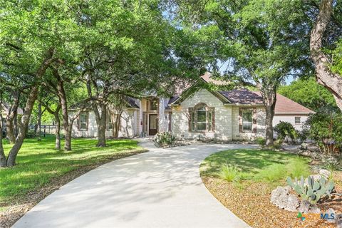 436 Hidden Springs Drive Spring Branch TX 78070