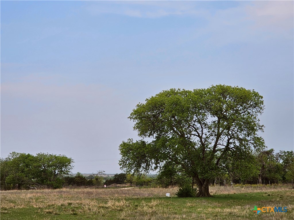 4390 County Road 220