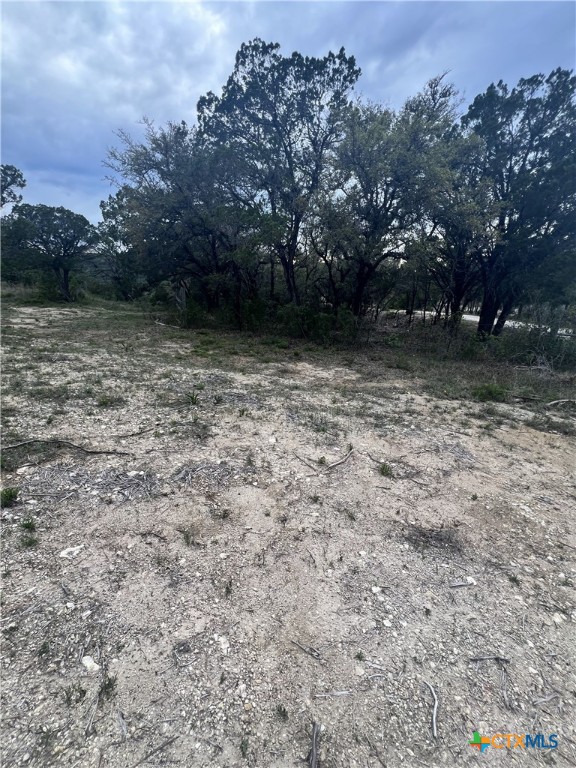 19705 Tyler Trail