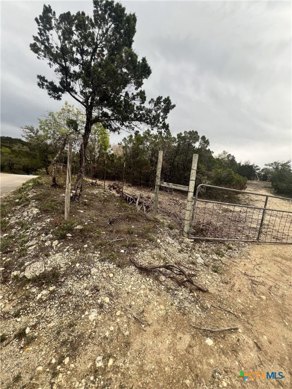 19705 Tyler Trail
