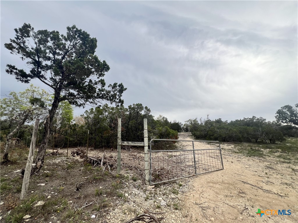 19705 Tyler Trail