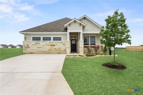 Photo of 614 Seven Springs Drive, Temple, TX 76502 (MLS # 612761)