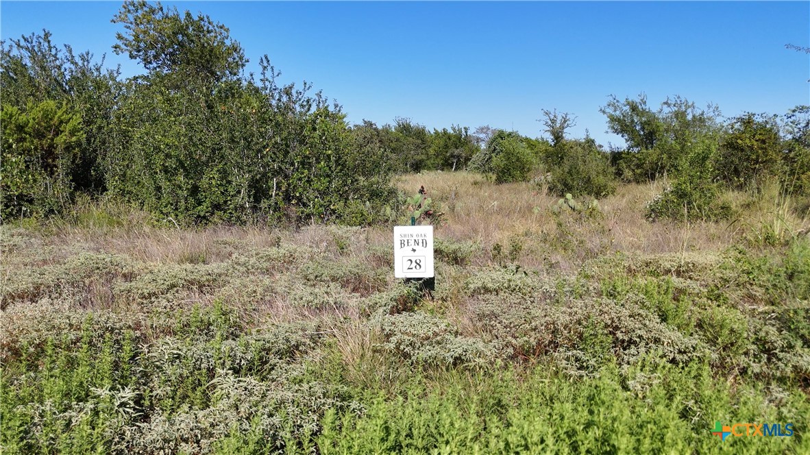 Lot 28 Shin Oak Bend Cr 252