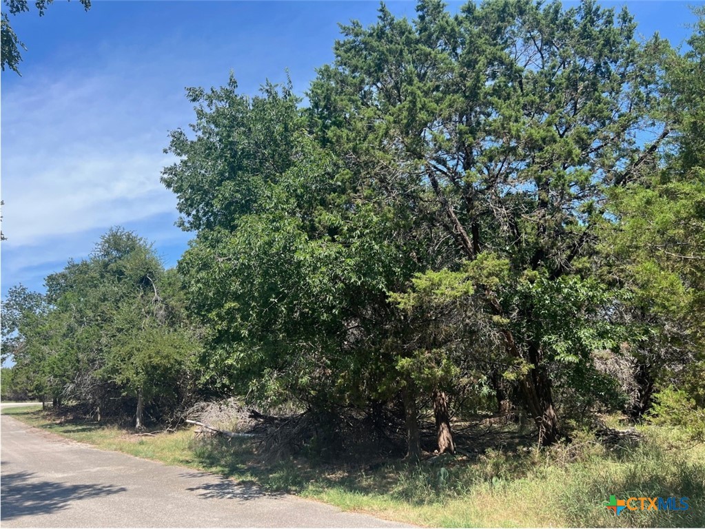 Lot 0010 Teakwood Loop