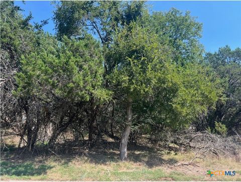 Lot 0010 Teakwood Loop Morgans Point Resort TX 76513