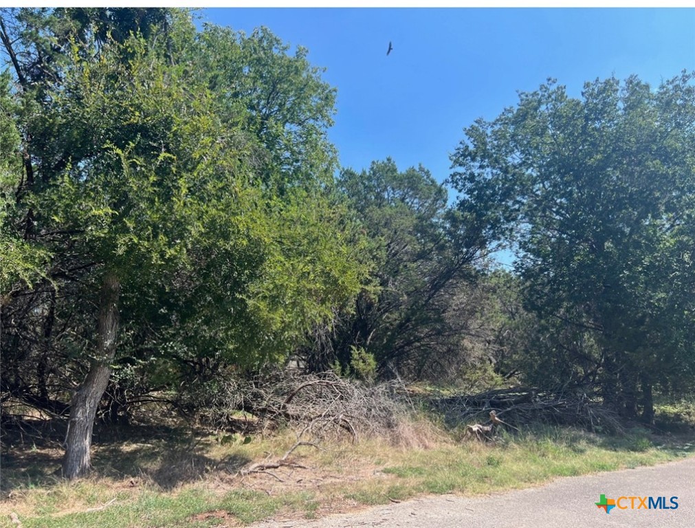 Lot 0010 Teakwood Loop