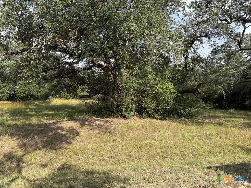 127 Center Tree Drive