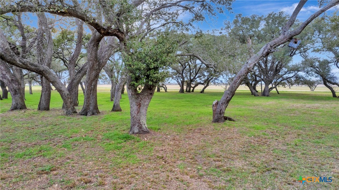 4536 S Fm 234